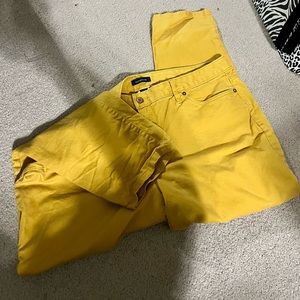 Lands End size 18 Mustard Jeans